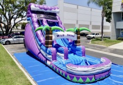 Wild Thing 18' Water Slide (Wet or Dry)